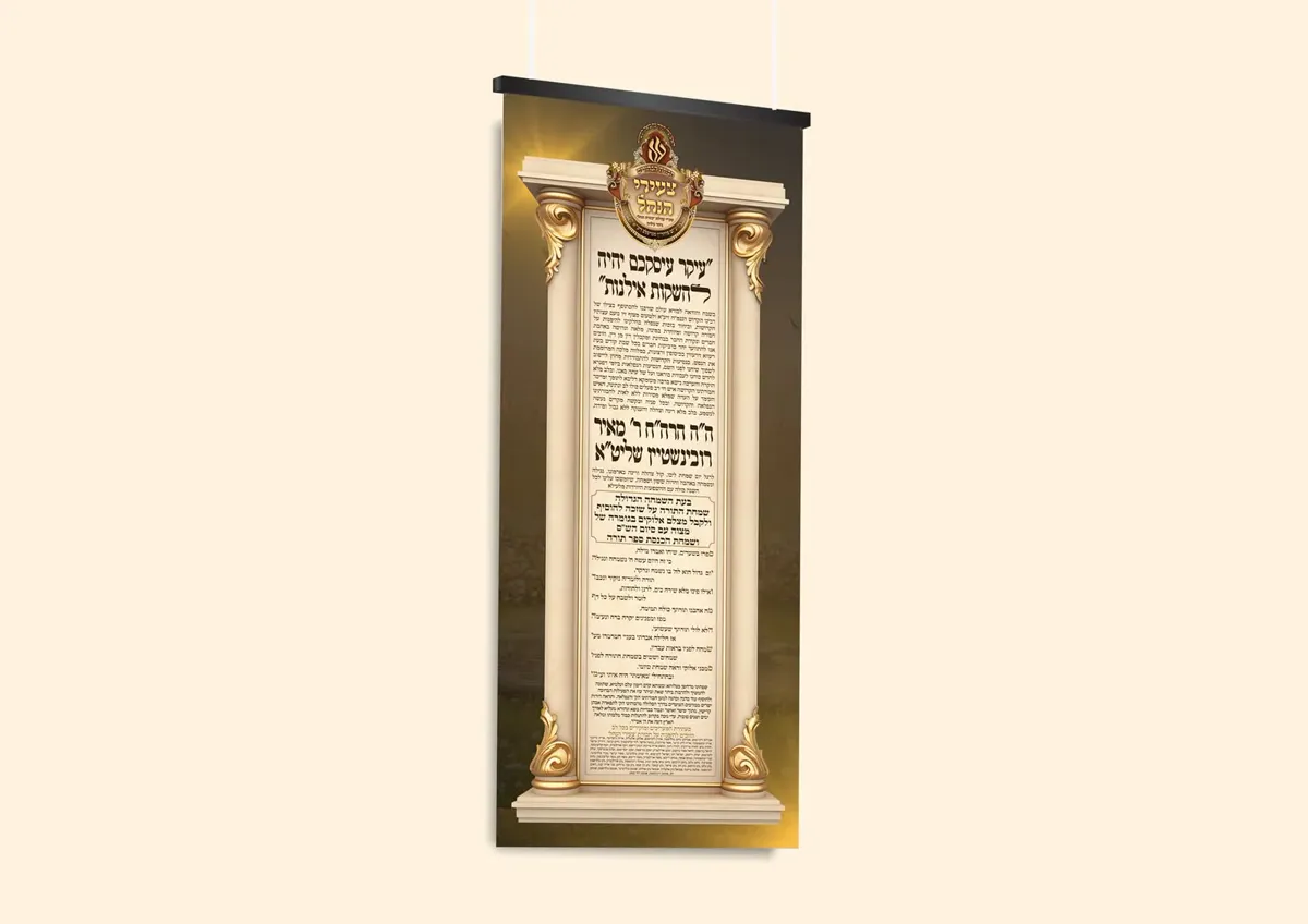 רובינשטיין בחורים